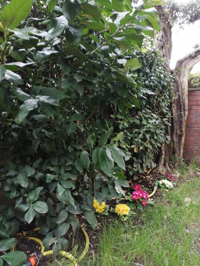 Casa Nonnanna - Nonnanna Home Viareggio Kültér fotó